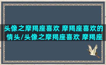 头像之摩羯座喜欢 摩羯座喜欢的情头/头像之摩羯座喜欢 摩羯座喜欢的情头-我的网站